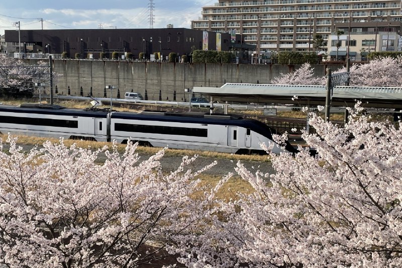 成田機場前往東京： skyliner 如何購票？可以用西瓜卡乘坐skyliner嗎？ | GetAroundJapan - 日本自助旅行、日本交通指南，最新鮮的日本旅遊攻略資訊