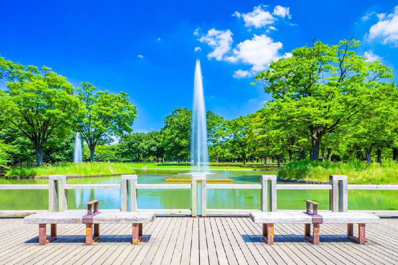 Japan in September | Guide | Travel Japan（Japan National Tourism Organization）