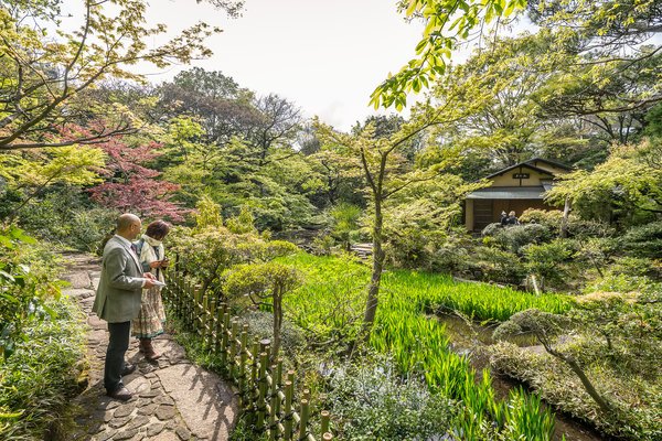 东京的穷游法与富游法