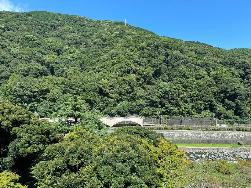 退房