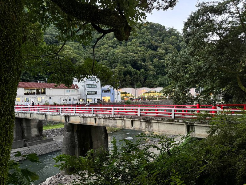 酒店里找小菊网上看到的居酒屋酒店里找小菊网上看到的居酒屋