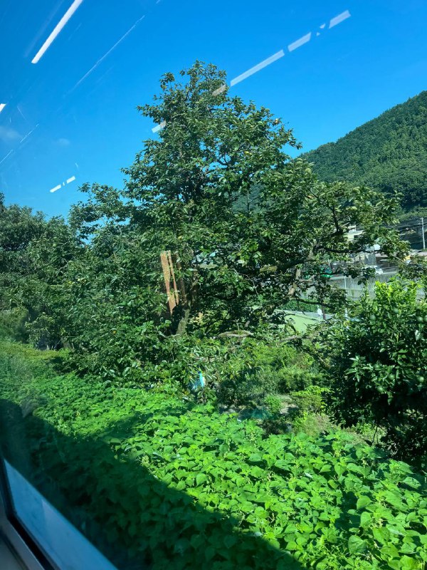 箱根汤本站箱根汤本站