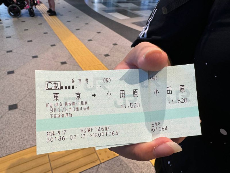 Google Map的公共交通路线一开始没太看懂，研究了半天，决定去人工问询柜台问问，结果排队等了好久好久才走了两个外国人，期间我们搞懂怎么坐车了，就退出队伍回售票机买票了