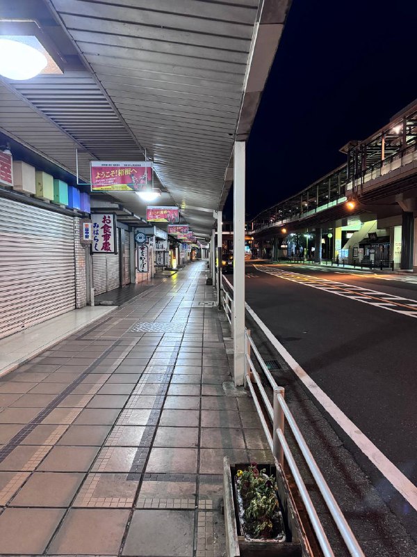 再遛一圈再遛一圈