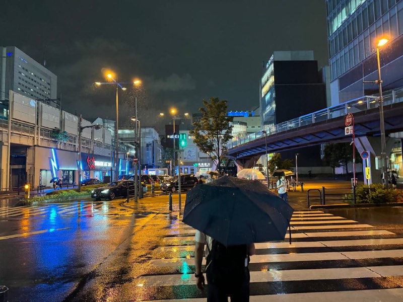 下雨了下雨了